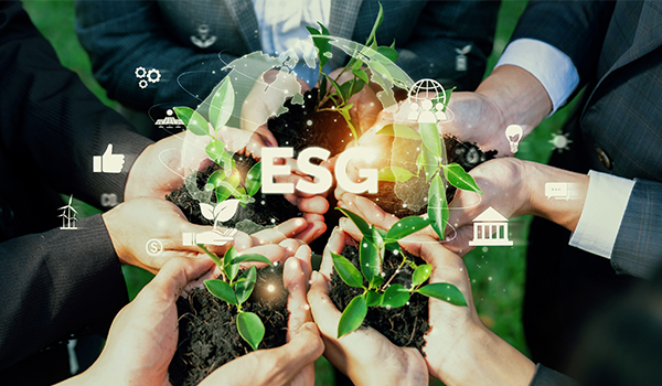 Specialized Certificate Course for ESG Valuers (Environmental Social & Governance Valuers)